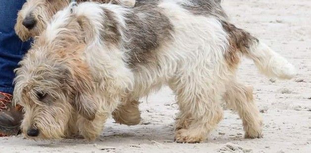 Salsa Des Gites De La Fombale