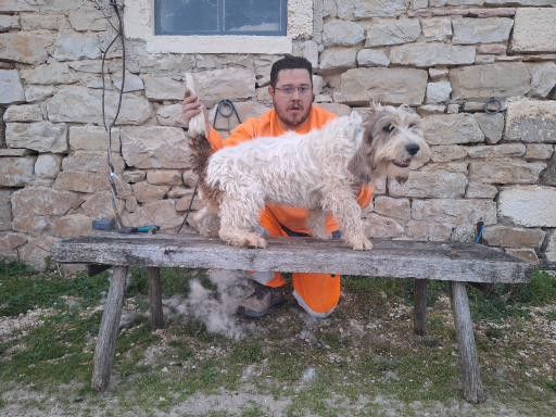 Velour Des Gites De La Fombale