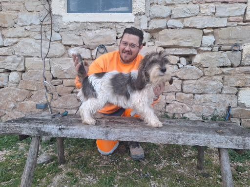 Vico de la lisière de la foret du nouvion