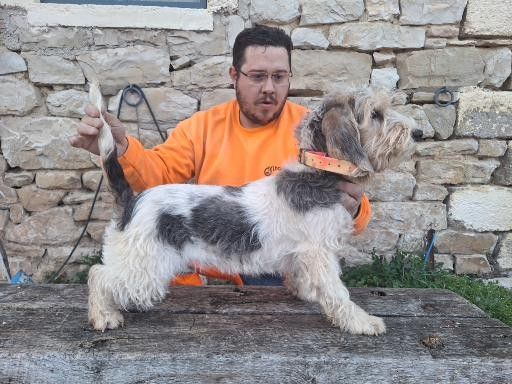 Vita Des Gites De La Fombale