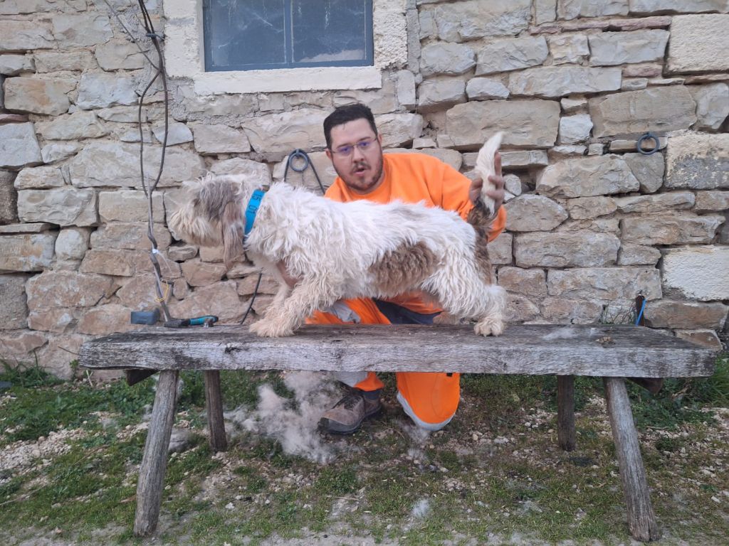 Vanille Des Gites De La Fombale