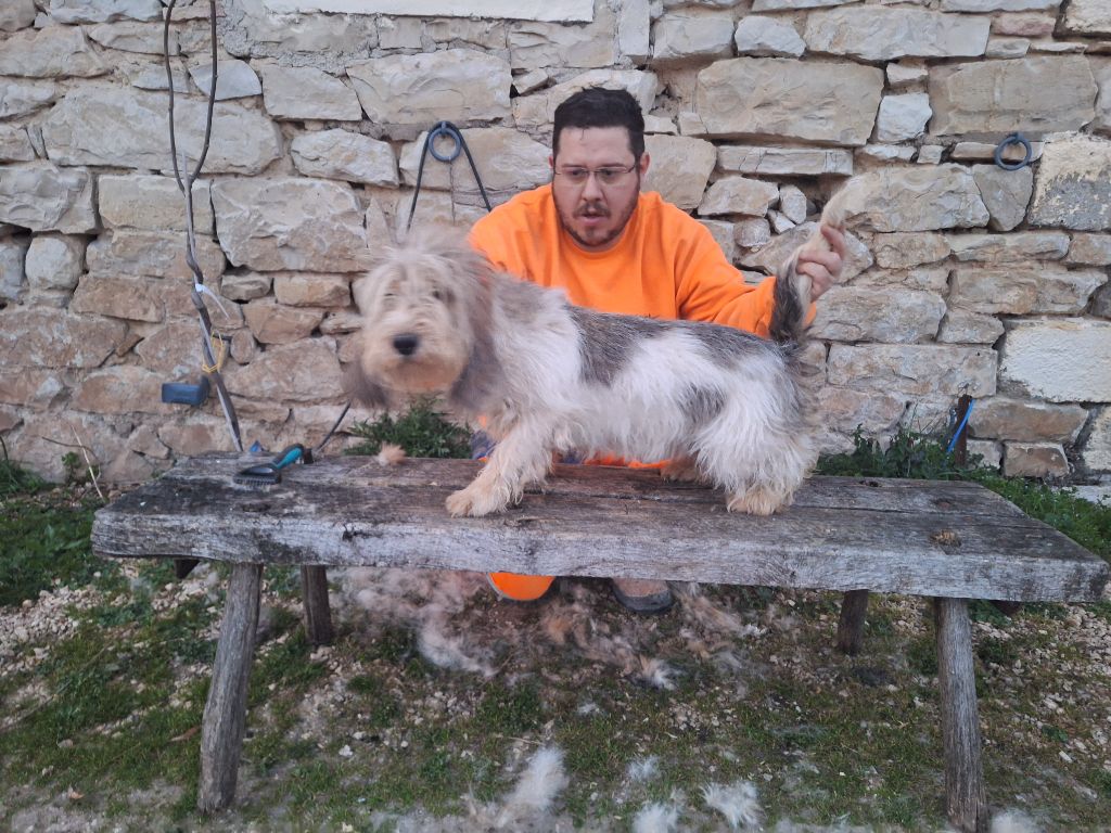 Voyou Des Gites De La Fombale