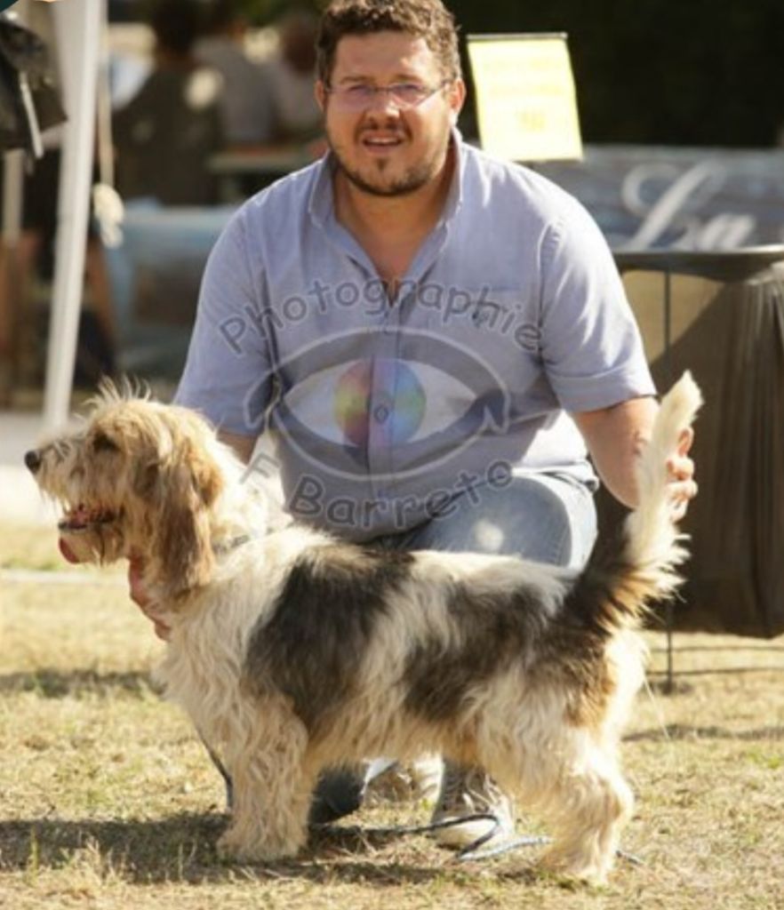 Sam Des Gites De La Fombale