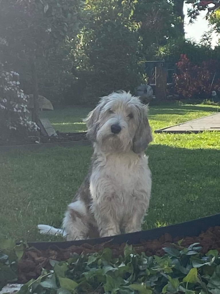 Sarlat Des Gites De La Fombale